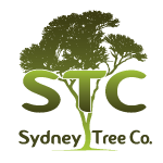 Sydney Tree Company