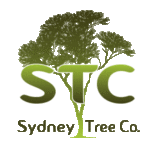 Sydney-Tree-Company_300x300_t